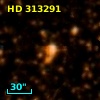 HD 313291