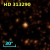 HD 313290