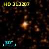 HD 313287
