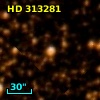 HD 313281