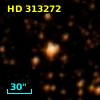 HD 313272