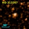 HD 313267