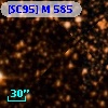 [SC95] M 585