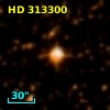 HD 313300