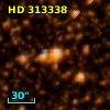 HD 313338