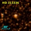 HD 313336