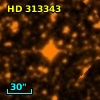 HD 313343