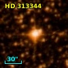 HD 313344
