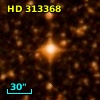 HD 313368