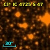 Cl* IC 4725      S      47