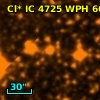 Cl* IC 4725    WPH      66
