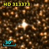 HD 313373