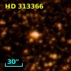 HD 313366