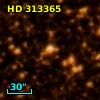 HD 313365