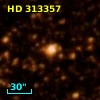 HD 313357