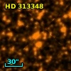 HD 313348
