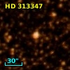 HD 313347