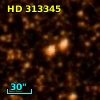 HD 313345