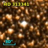 HD 313341