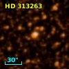 HD 313263