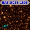 IRAS 18231-1800