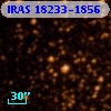 IRAS 18233-1856