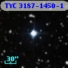 TYC 3187-1450-1