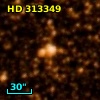 HD 313349