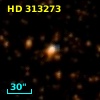 HD 313273