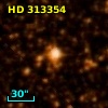 HD 313354