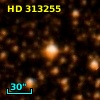 HD 313255
