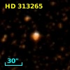 HD 313265