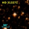 HD 313271