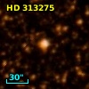 HD 313275