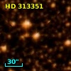 HD 313351