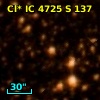 Cl* IC 4725      S     137