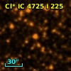 Cl* IC 4725      I     225