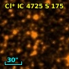 Cl* IC 4725      S     175