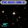 TYC 4313-390-1