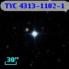 TYC 4313-1102-1