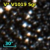 V* V1019 Sgr
