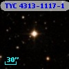 TYC 4313-1117-1