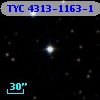 TYC 4313-1163-1