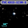 TYC 4313-1230-1