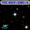 TYC 4317-1302-1