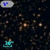 V* V919 Sgr