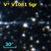V* V1081 Sgr