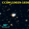 CCDM J19029-1836B