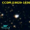 CCDM J19029-1836C