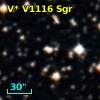 V* V1116 Sgr